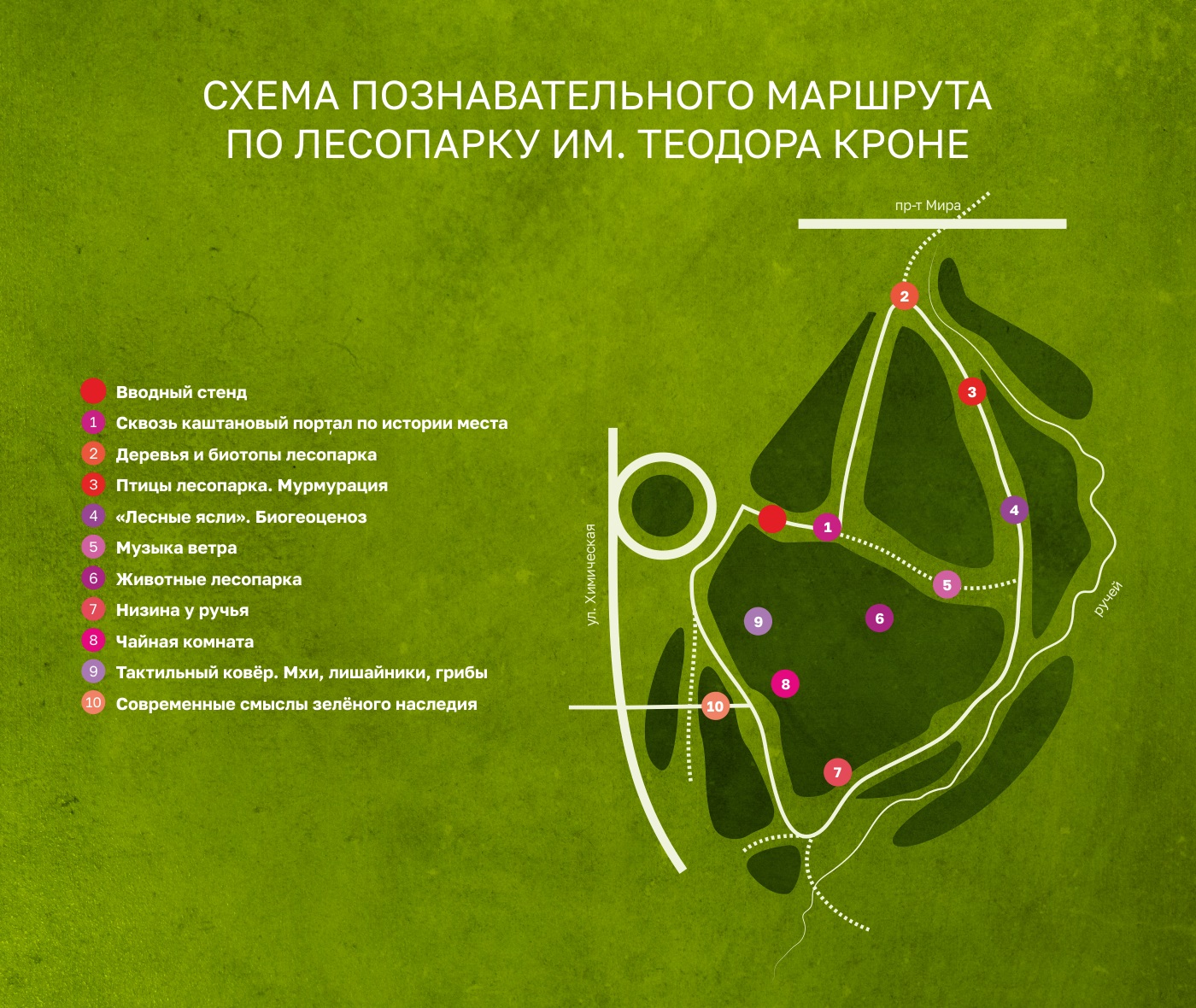 В Калининграде появился новый познавательный маршрут Фото №2